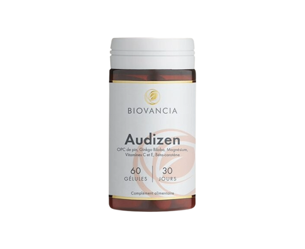 Audizen