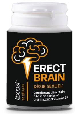 Erect Brain