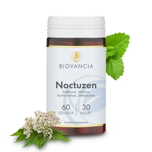 Noctuzen